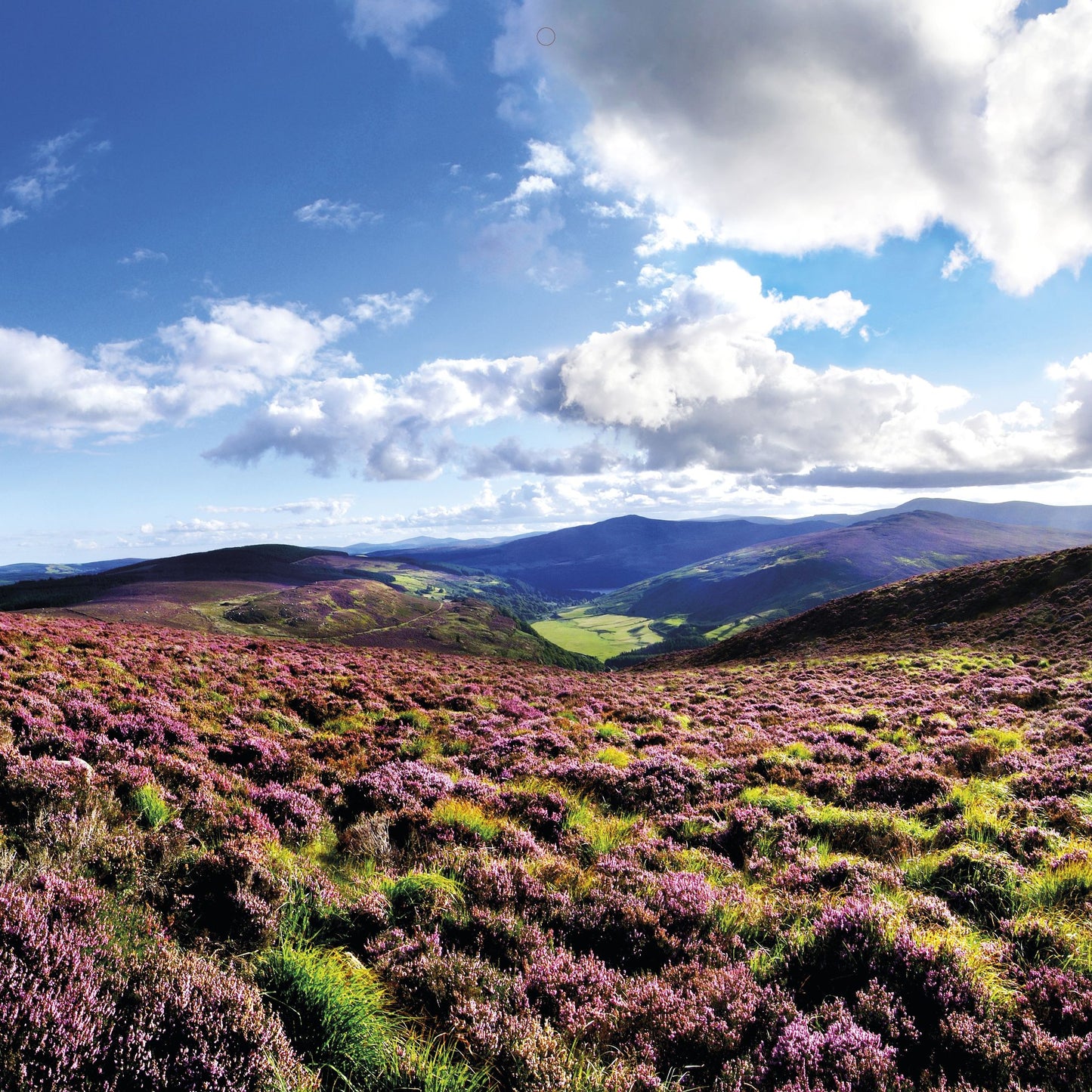 2018 Ireland Wall Calendar