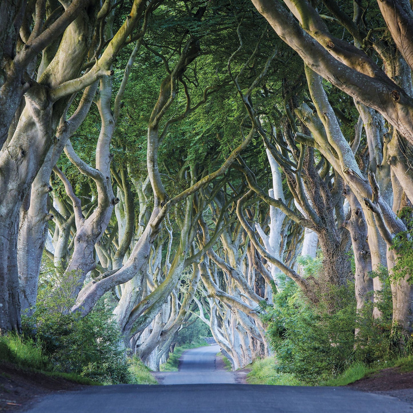 2018 Ireland Wall Calendar