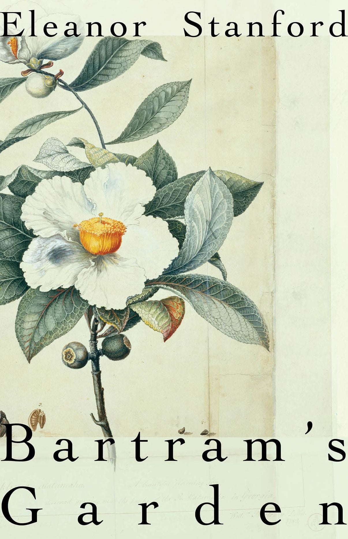 Bartram's Garden