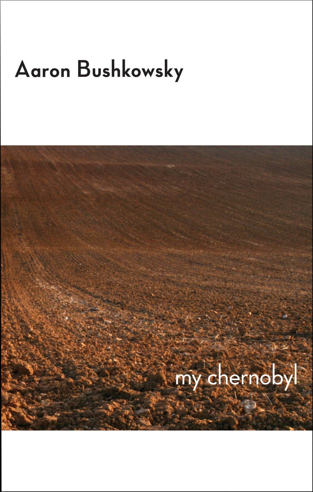 My Chernobyl