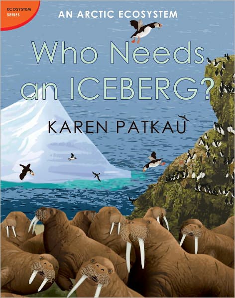 Who Needs an Iceberg?