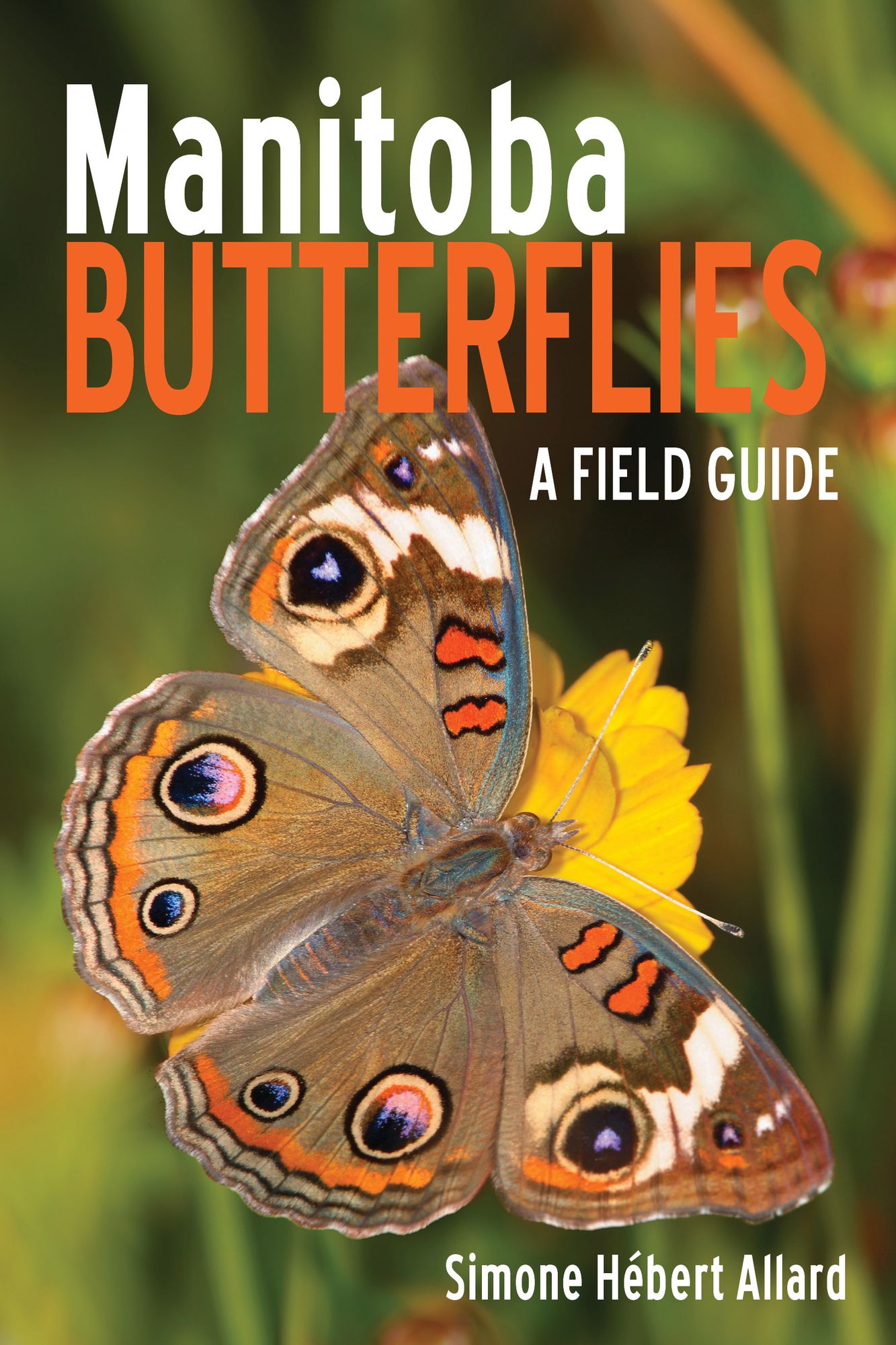 Manitoba Butterflies: A Field Guide