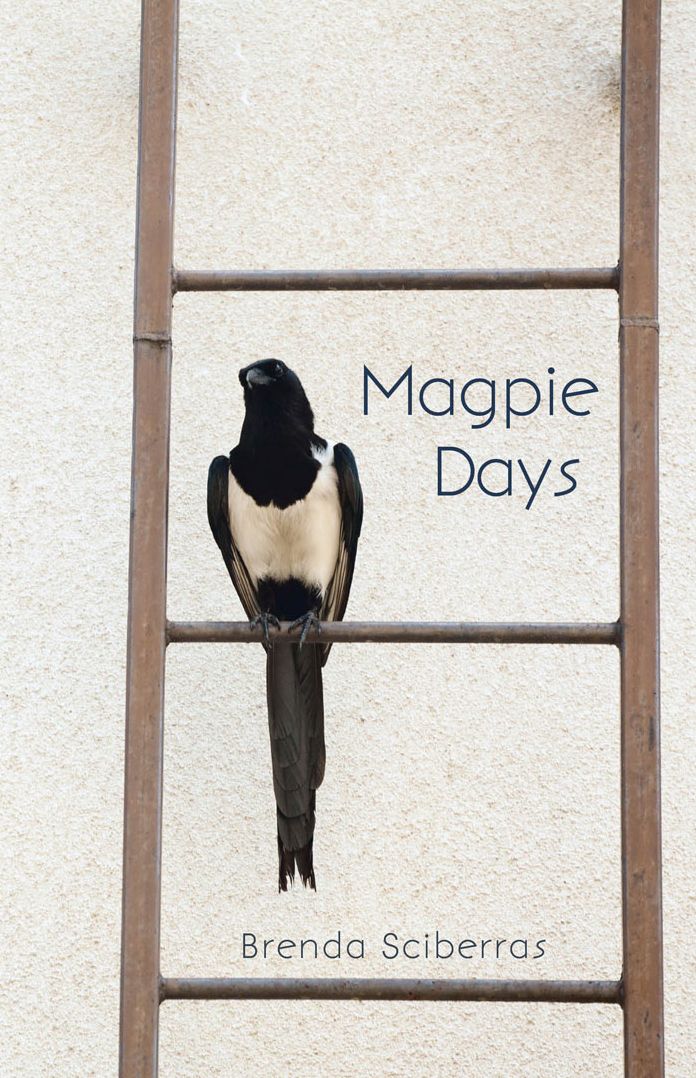 Magpie Days