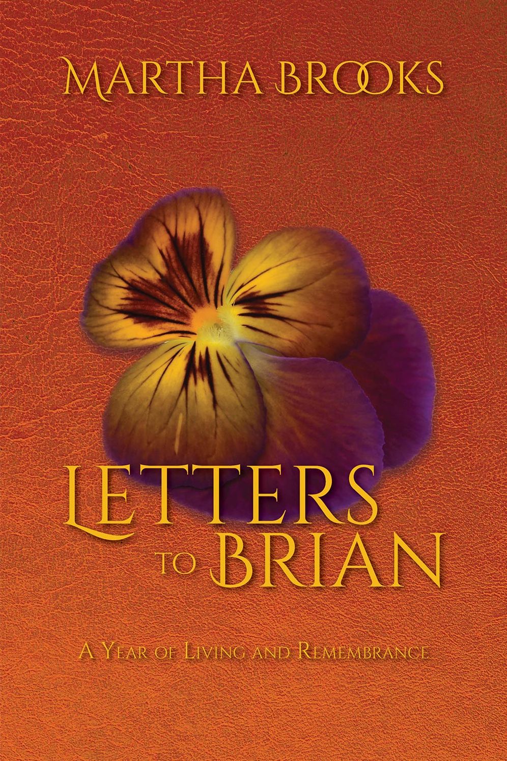 Letters to Brian: A Year of Living and Remembrance