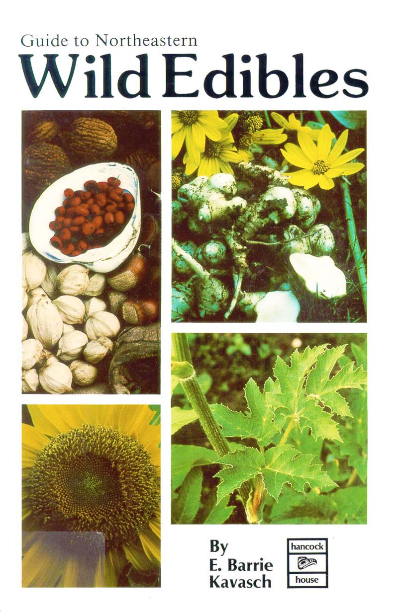 Guide to Northeastern Wild Edibles