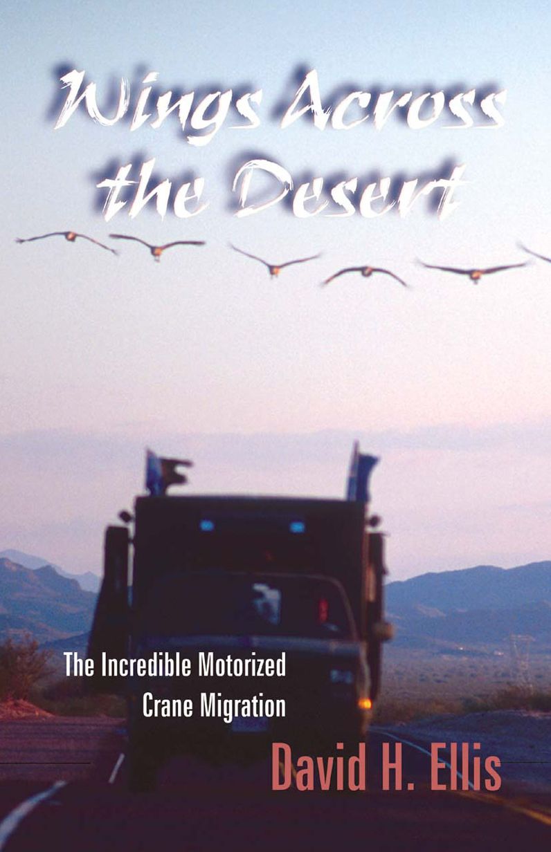 Wings Across the Desert: The Great Motorized Crane Migration