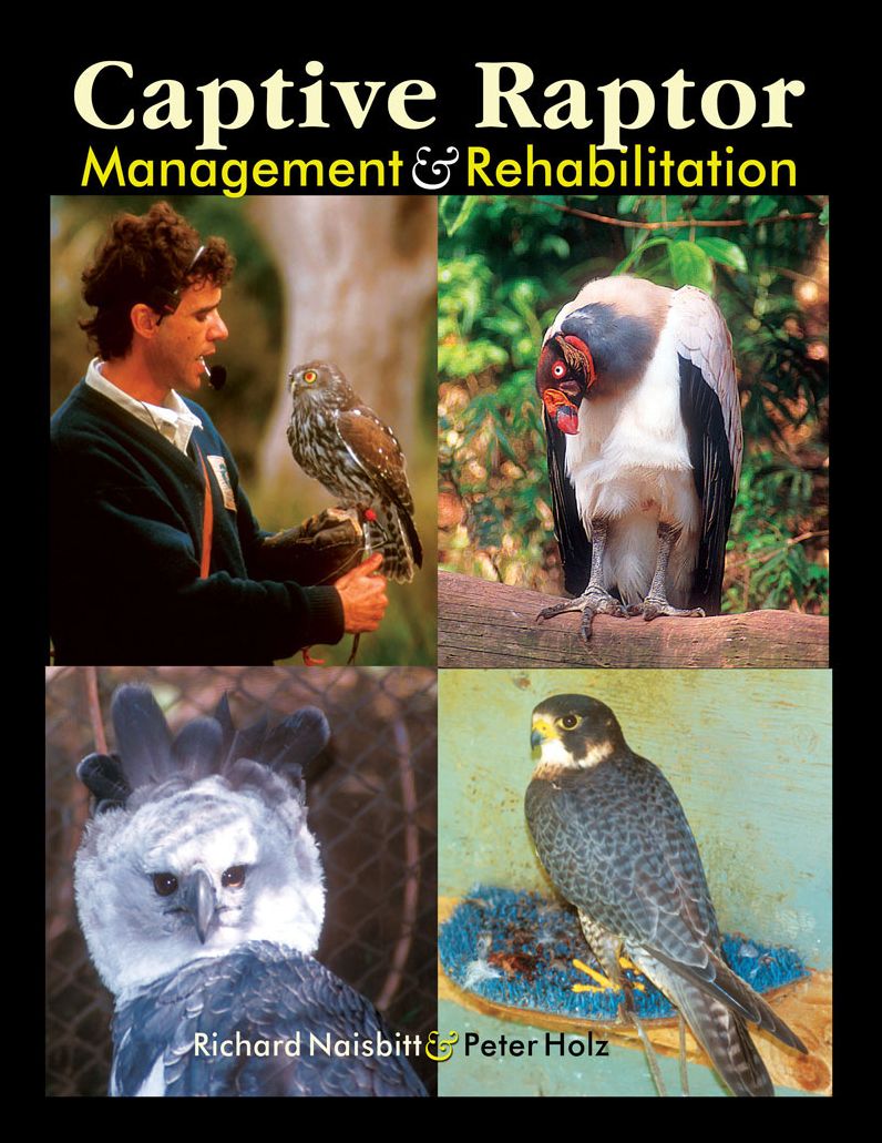 Captive Raptor Management and Rehabilitation
