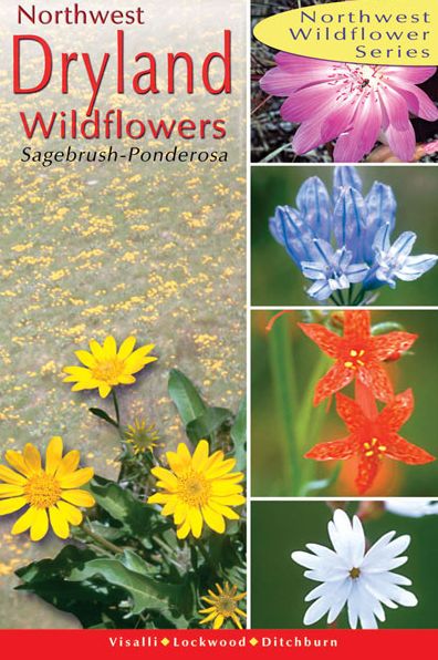 Dryland Wildflowers: Of the Sagebrush and Ponderosa