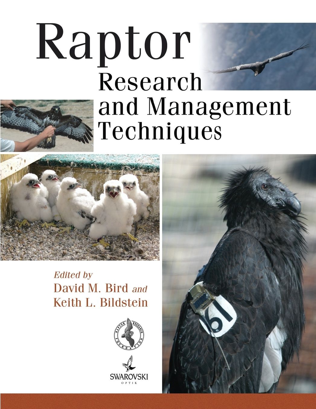 Raptor: Research and Management Techniques