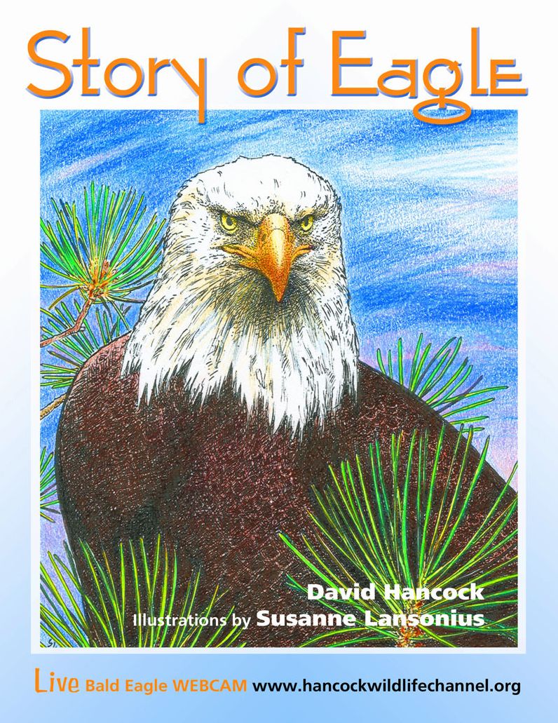 Story of Eagle