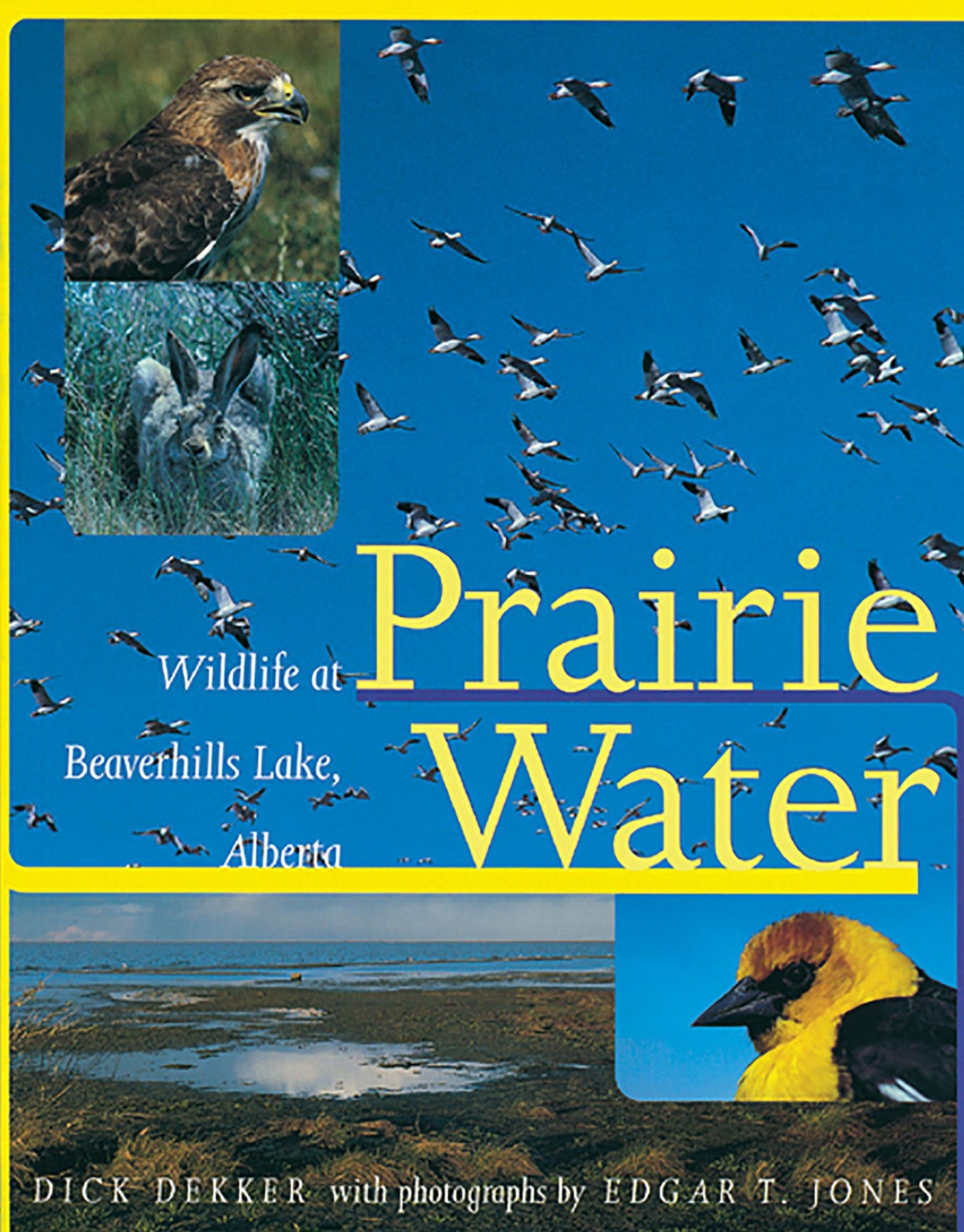 Prairie Water: Wildlife at Beaverhills Lake, Alberta