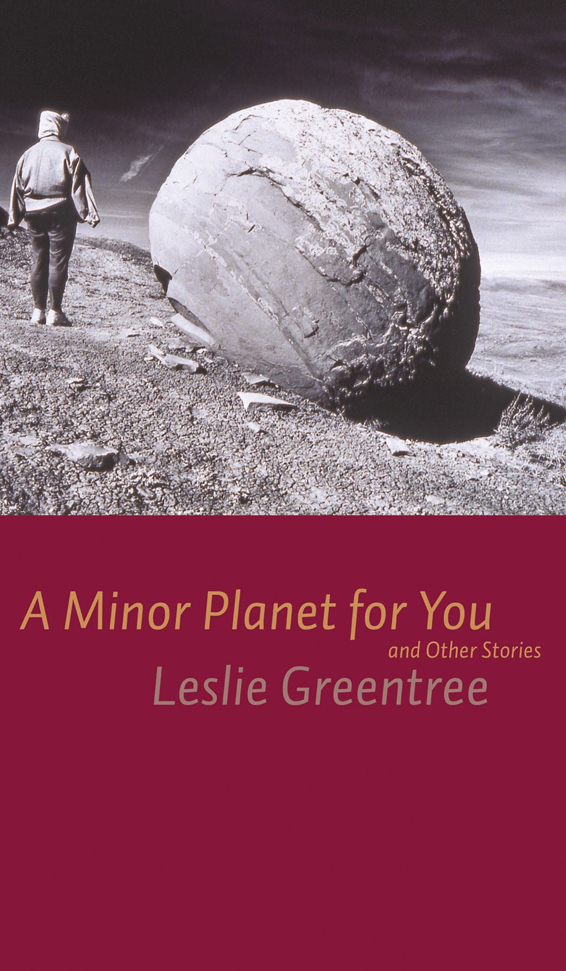 A Minor Planet for You and Other Stories