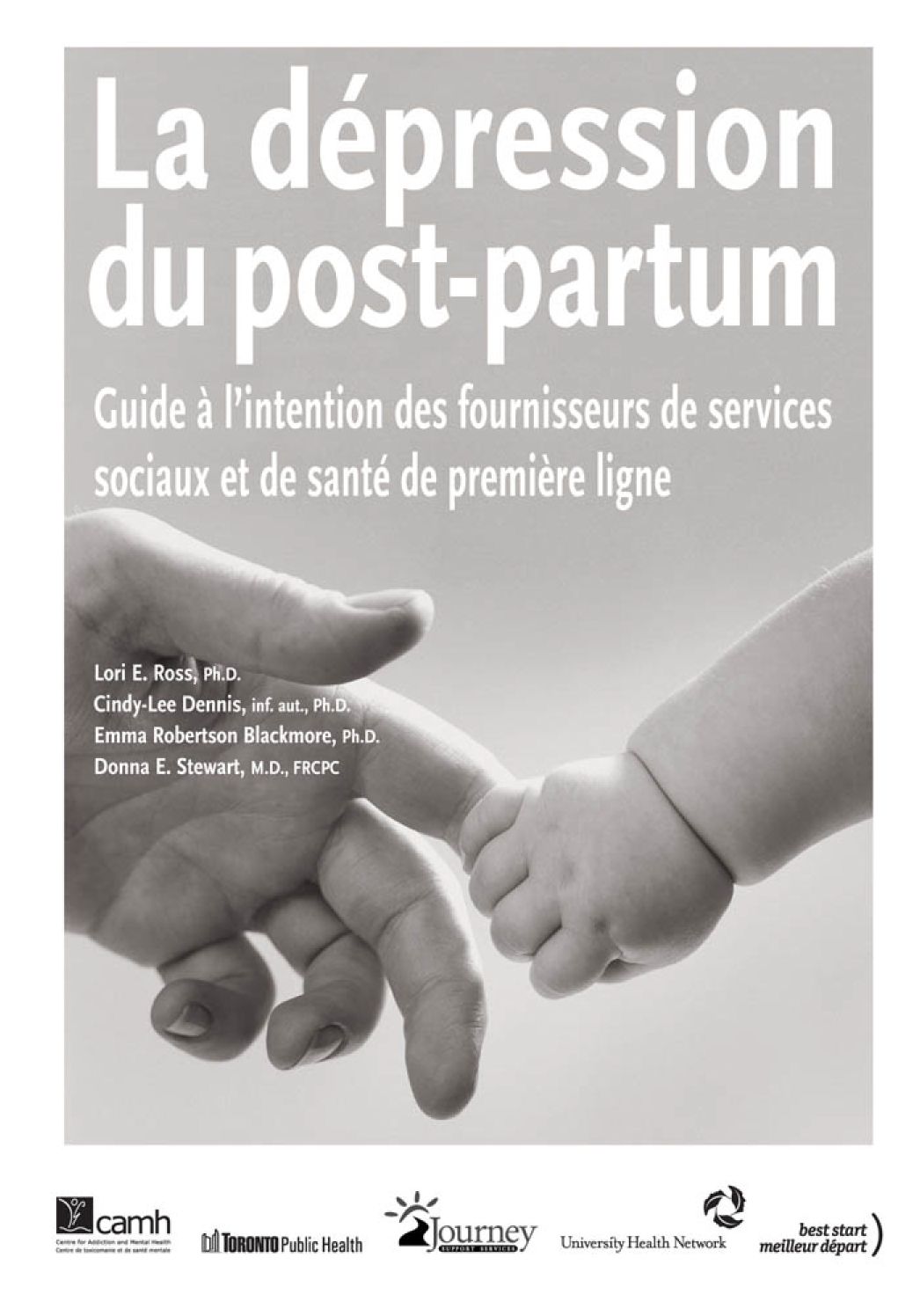 La dépression du post-partum: Guide à l'intention des fournisseurs de services sociaux et de santé de première ligne