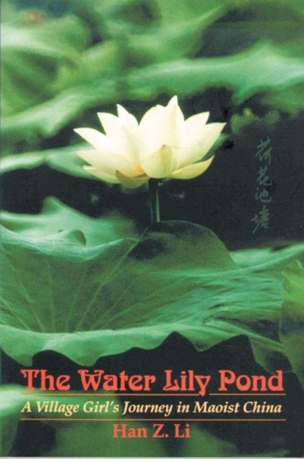 The Water Lily Pond