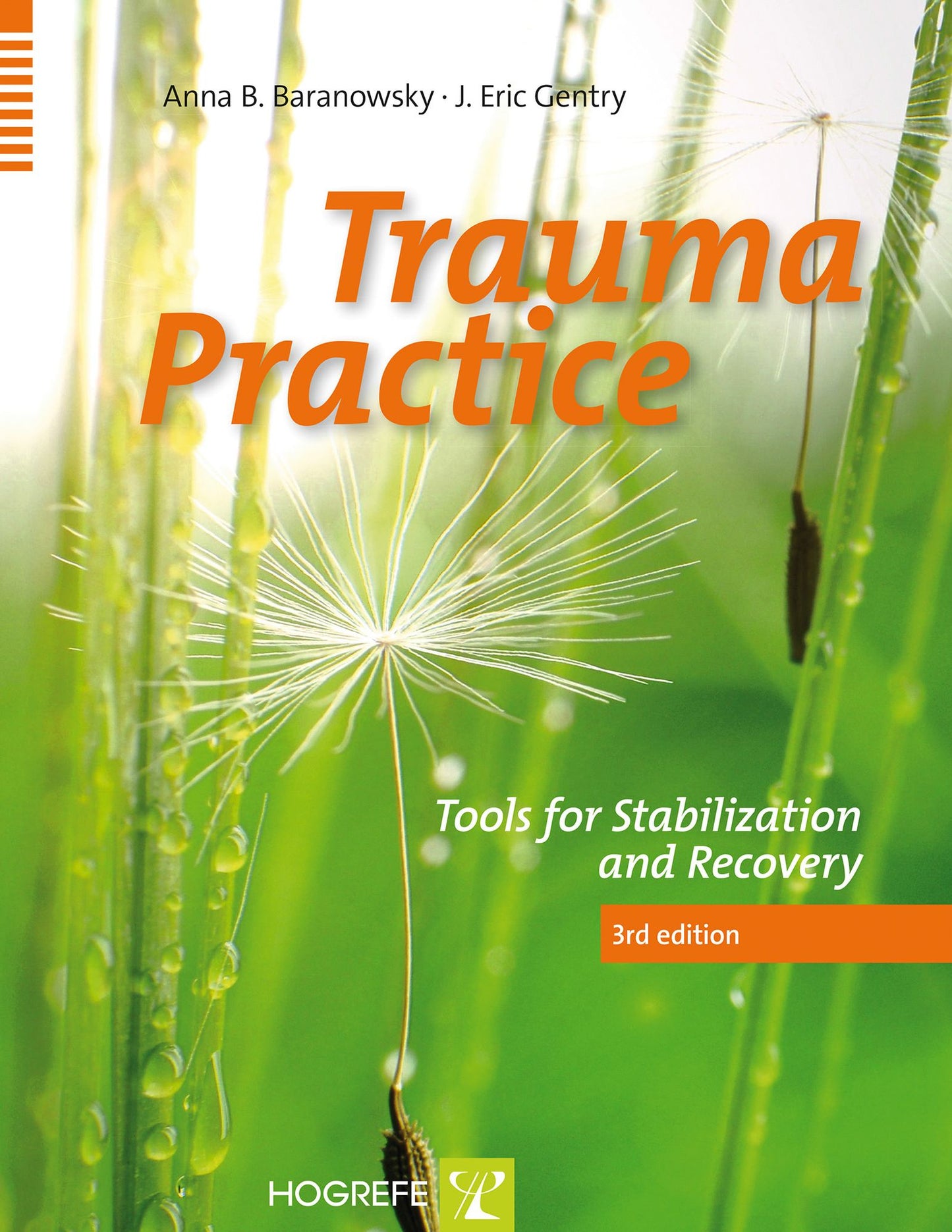 Trauma Practice: Tools for Stabilization and Recovery