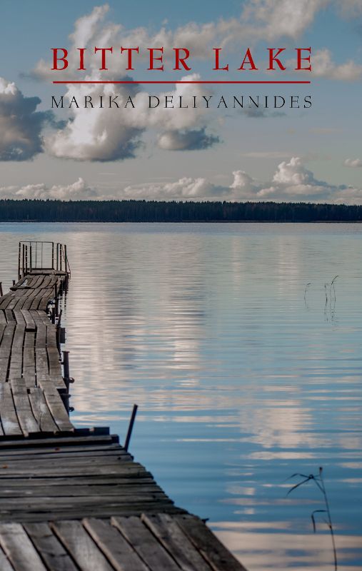 Bitter Lake: A Novel
