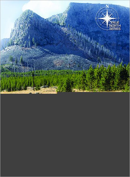 Your Guide to Yellowstone and Grand Teton National Parks: A Different View