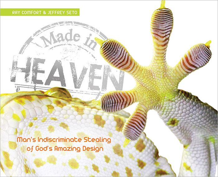 Made in Heaven: The Indiscriminate Stealing of God's Amazing Design