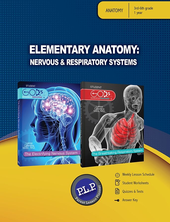 Elementary Anatomy: Nervous & Respiratory Systems Parent Lesson Planner