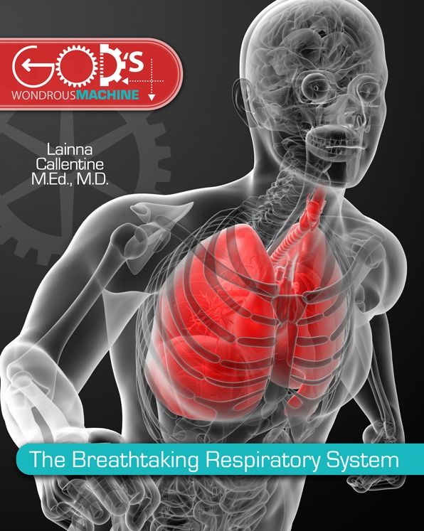 The Breathtaking Respiratory System, 3rd - 6th Grades
