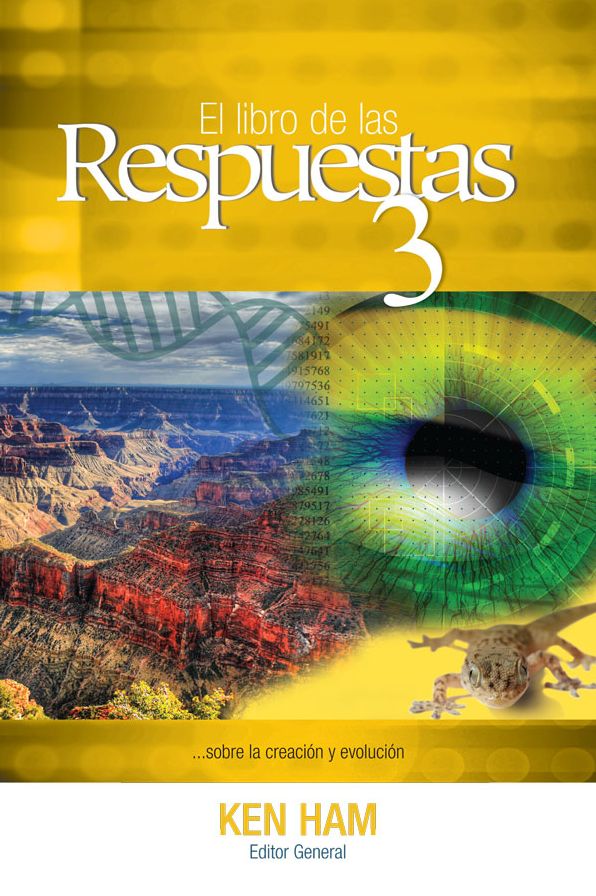 El libro de las Respuestas 3 (New Answers Book 3)