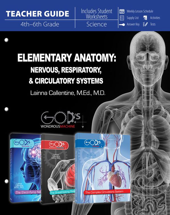 Elementary Anatomy: Nervous, Respiratory, & Circulatory Systems Teacher Guide