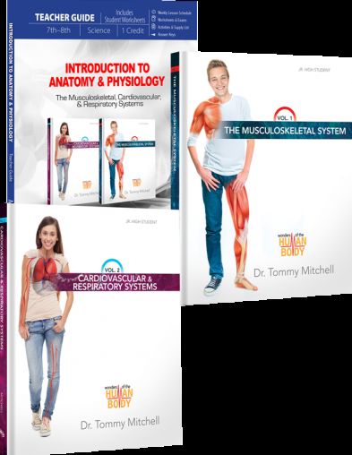 Introduction to Anatomy & Physiology Package