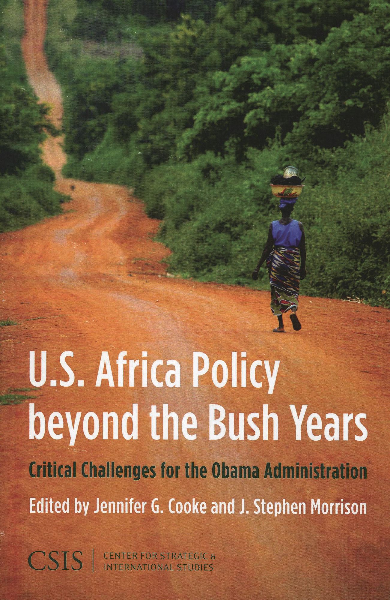 Africa Policy beyond the Bush Years: Critical Choices for the Obama Administration