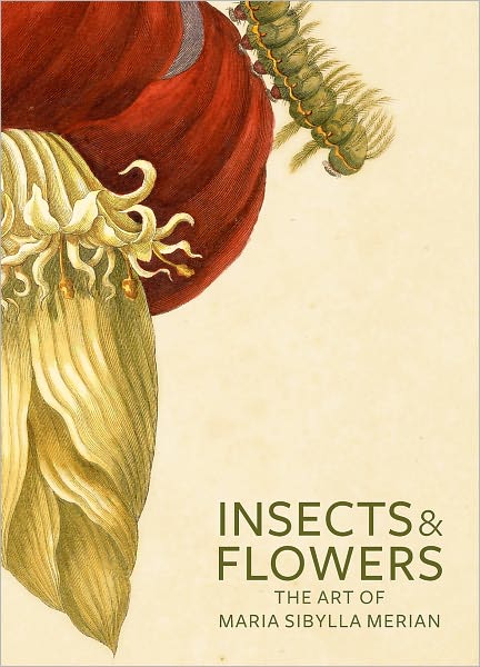 Insects and Flowers: The Art of Maria