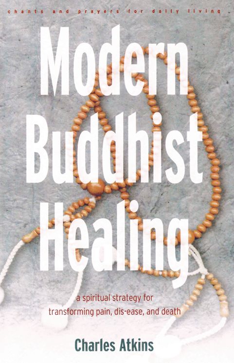Modern Buddhist Healing: A Spiritual Strategy for Transforming Pain, Dis-ease, and Death