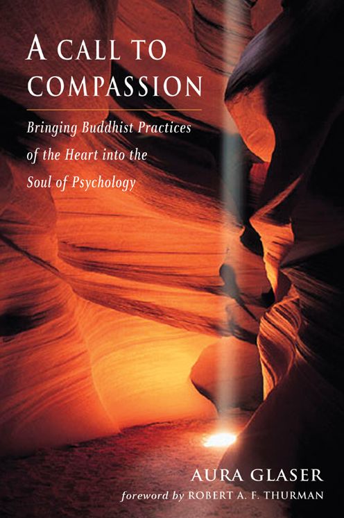 A Call to Compassion: Bringing Buddhist Practices of the Heart into the Soul of Psychology (Jung on the Hudson Book Series)
