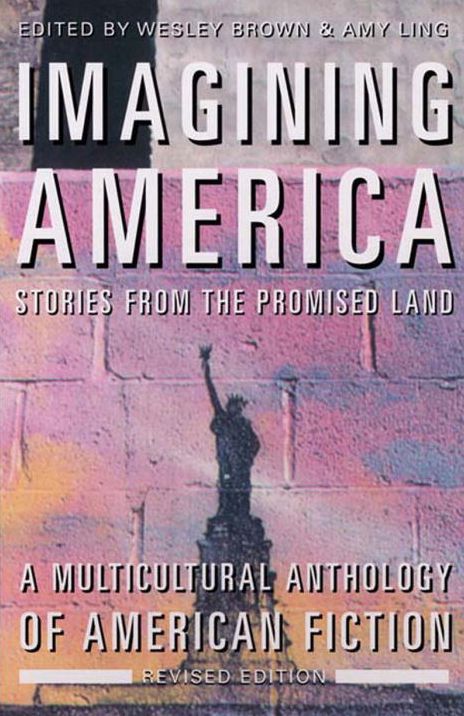 Imagining America: Stories from the Promised Land