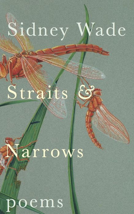 Straits & Narrows: Poems