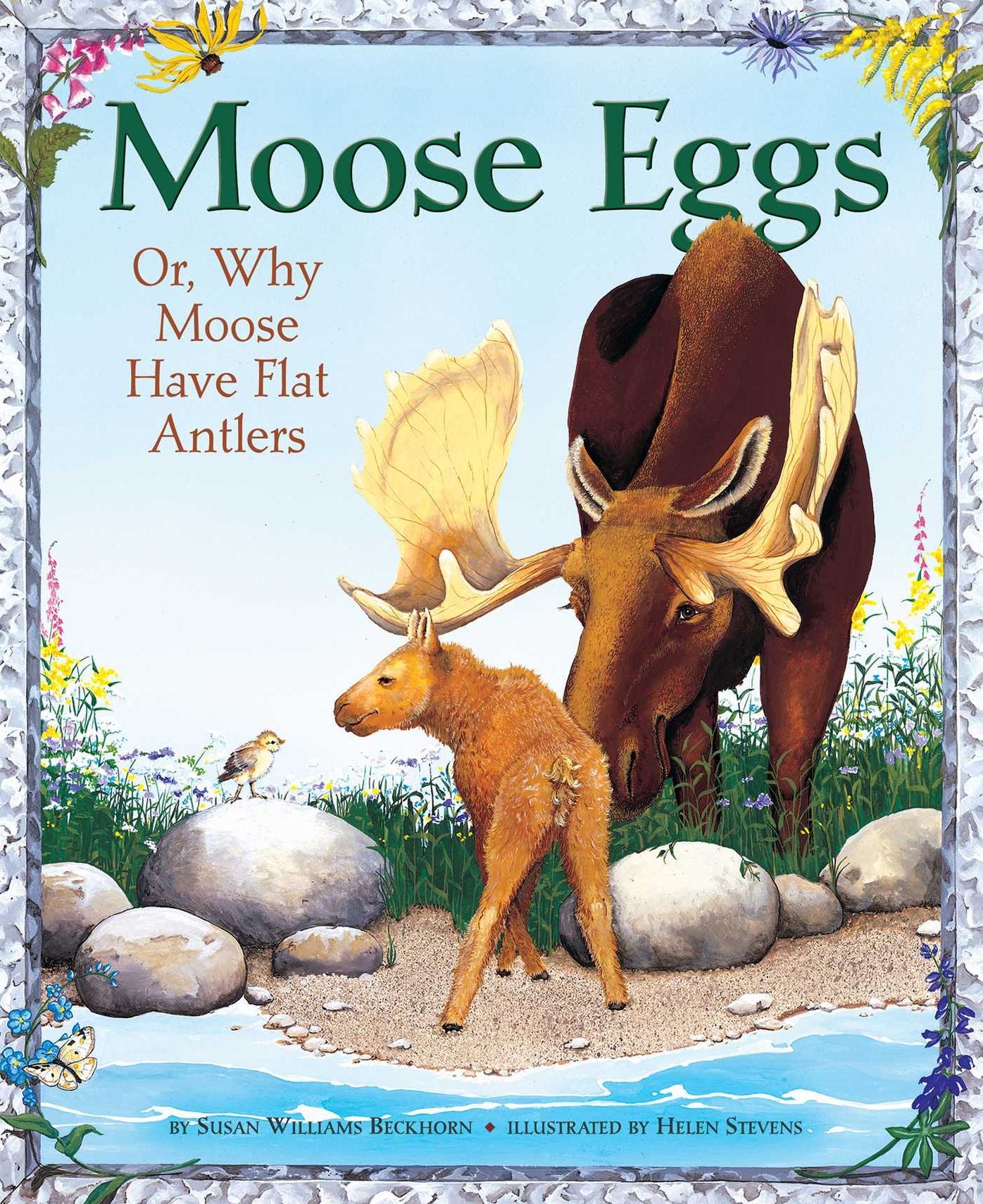 Moose Eggs: Or, why Moose Have Flat Antlers