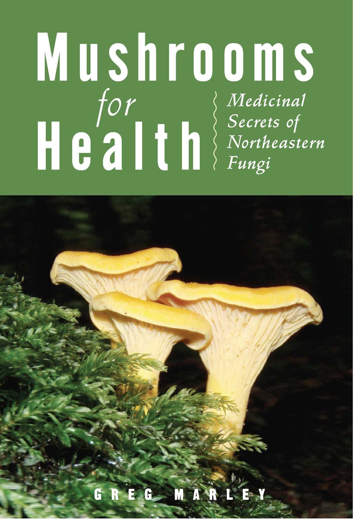 Mushrooms for Health: Medicinal Secrets of Northeastern Fungi