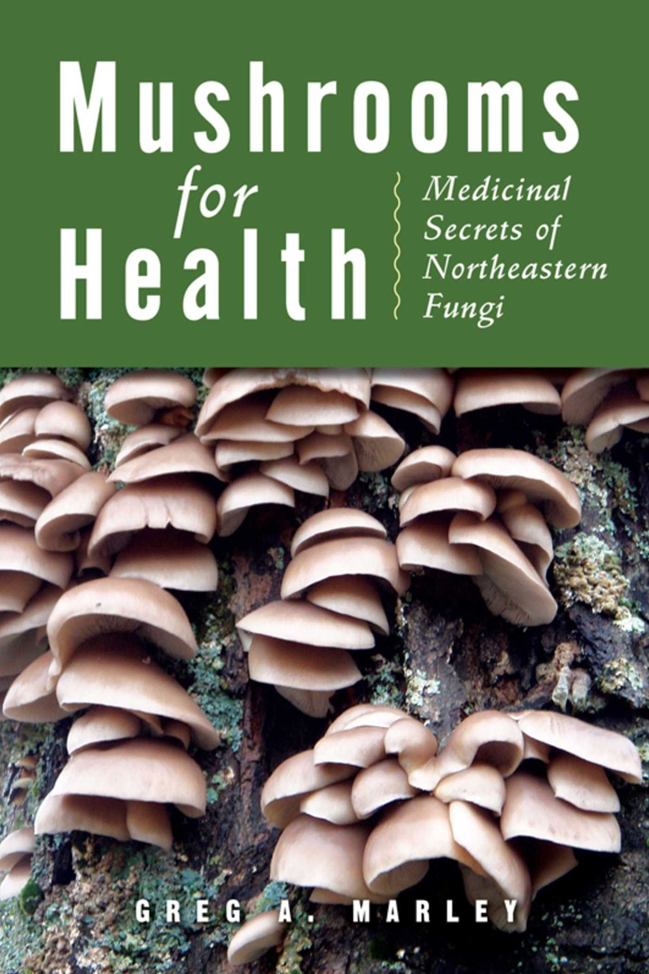 Mushrooms for Health: Medicinal Secrets of Northeastern Fungi