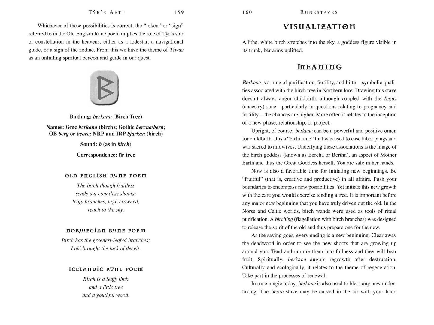 Nordic Runes: Understanding, Casting, and Interpreting the Ancient Viking Oracle