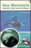 Sea Mammals: Atlantic, Gulf, and Caribbean
