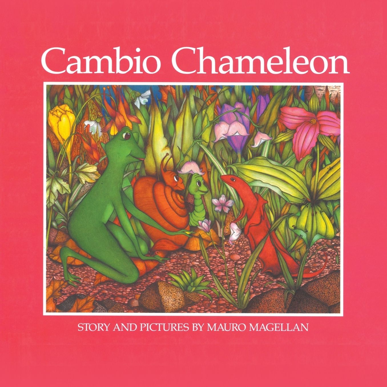 Cambio Chameleon
