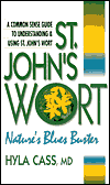 St. John's Wort: Nature's Blues Buster