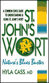 St. John's Wort: Nature's Blues Buster