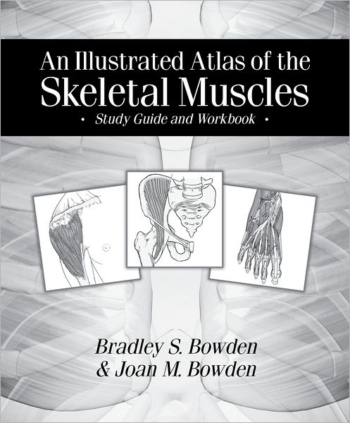 An Illustrated Atlas of the Skeletal Muscles Study Guide and Workbook