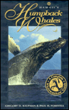 Hawaii's Humpback Whales: A Complete Whalewatchers Guide