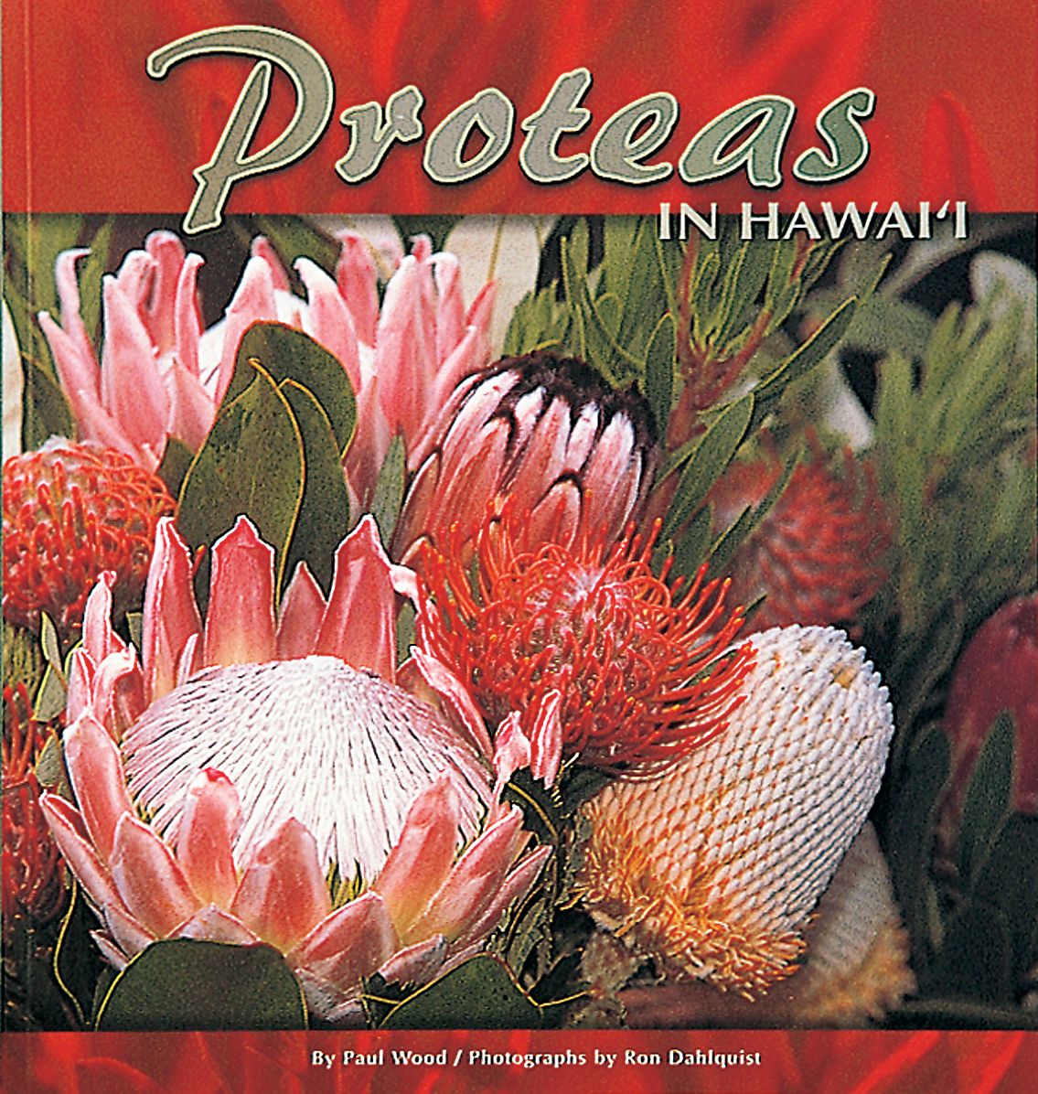 Proteas in Hawaii