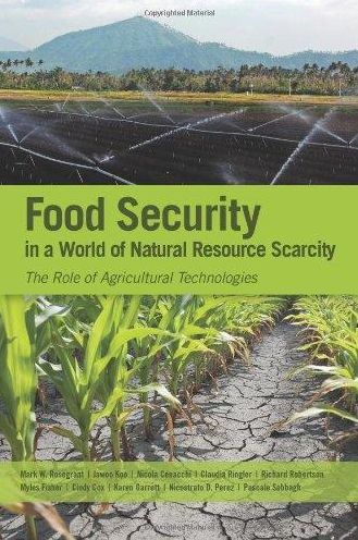 Food Security in a World of Natural Resource Scarcity: The Role of Agricultural Technologies