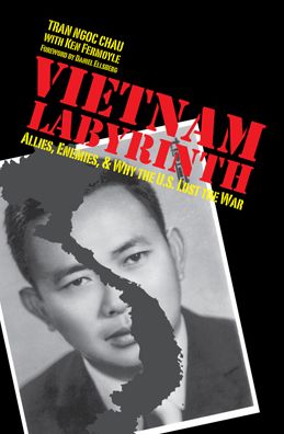 Vietnam Labyrinth: Allies, Enemies, and Why the U.S. Lost the War
