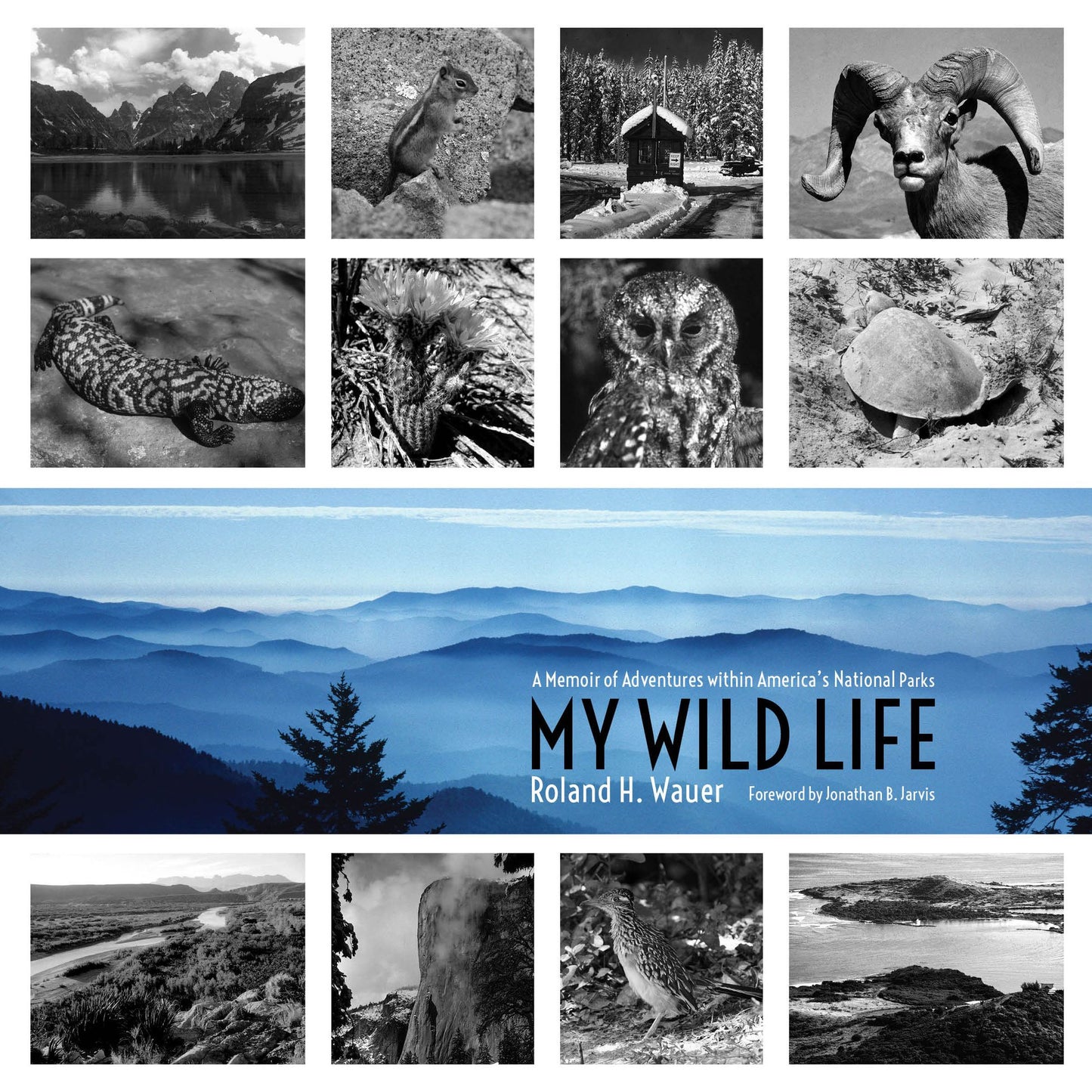 My Wild Life: A Memoir of Adventures within America's National Parks