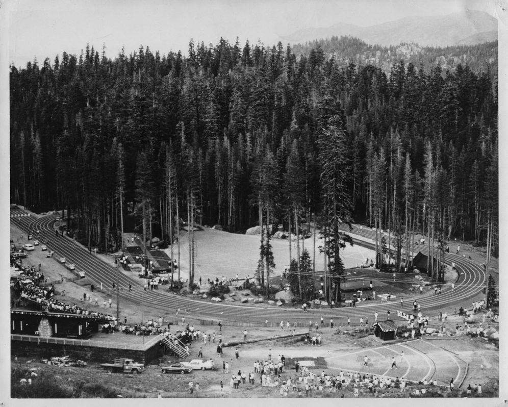 The Track in the Forest: The Creation of a Legendary 1968 Us Olympic Team