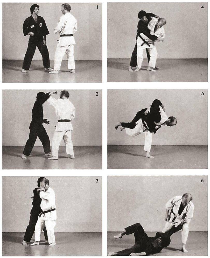 Jujitsu: Basic Techniques of the Gentle Art