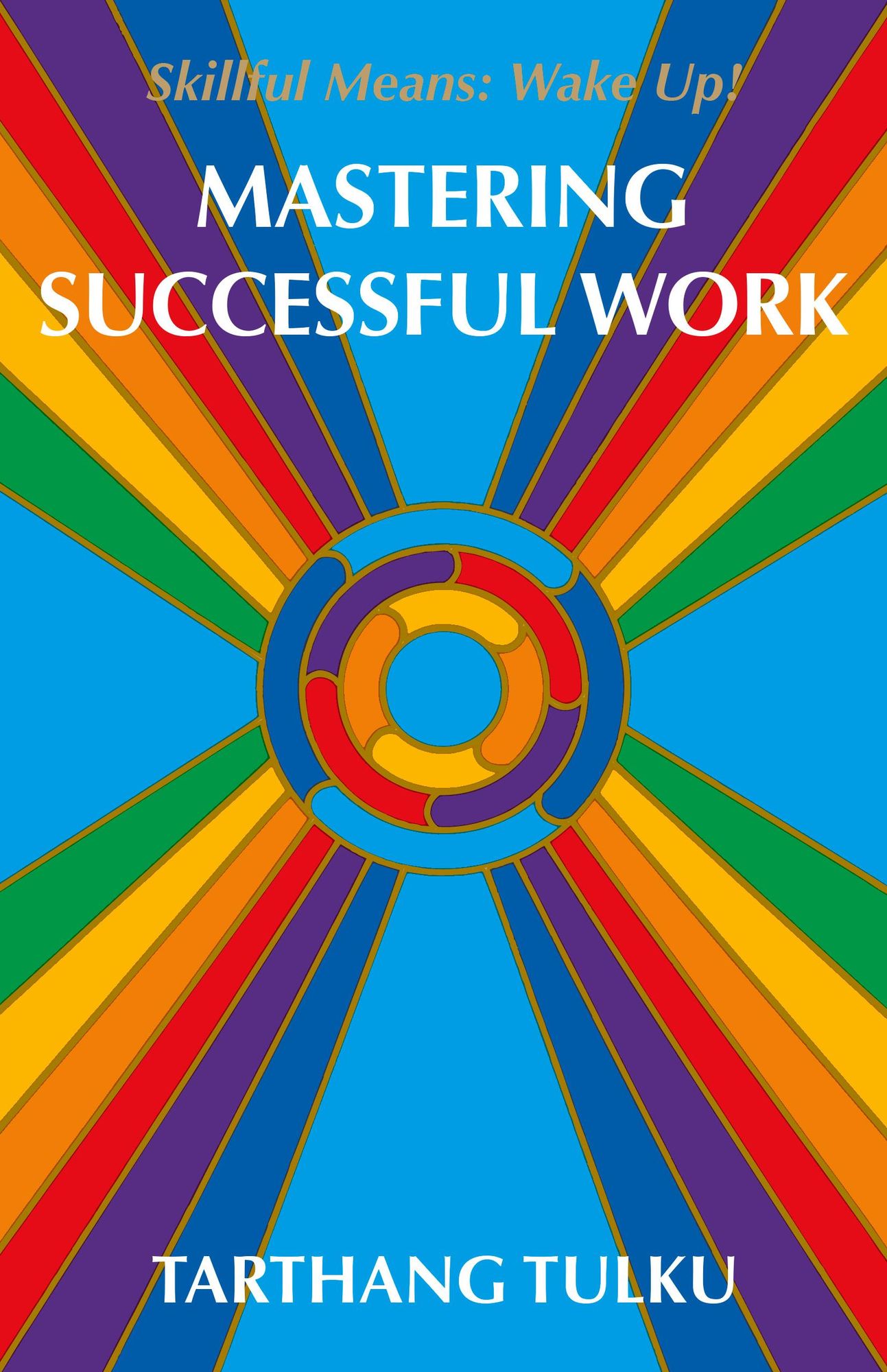 Mastering Successful Work: Skilful Means: Wake Up!